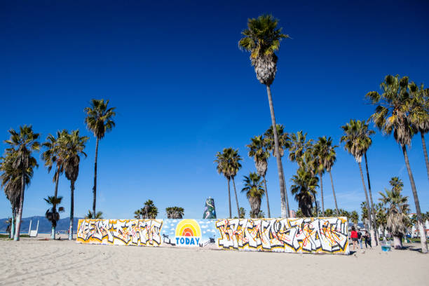 венис-бич по дням в калифорнии сша - palm tree california city of los angeles venice beach стоковые фото и изображения