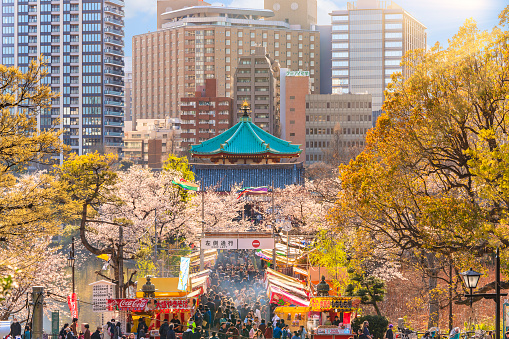 ueno, japan - march 31 2020: Telephoto compression of Bentendo hall of Kaneiji buddhist temple where crowds are gathered between Tekiya stands of Japanese food surrounded by cherry blossoms in Ueno.