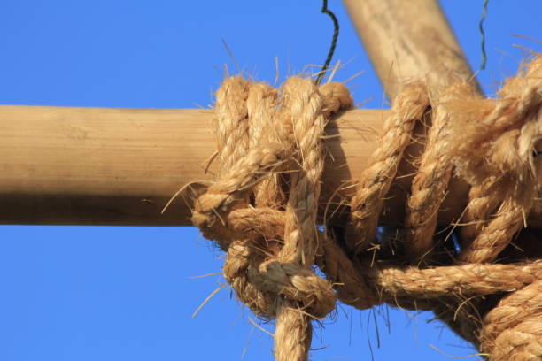 istock Rope tied on bamboo 1249581593