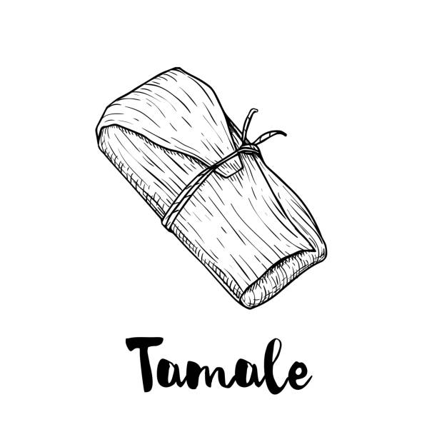 Hand drawn sketch style traditional mexican food tamale. Top view.  Retro craft mexican cuisine vector illustration. Best for restaurant menu designs, flyers and banners. Hand drawn sketch style traditional mexican food tamale. Top view.  Retro craft mexican cuisine vector illustration. Best for restaurant menu designs, flyers and banners. EPS10 + JPEG preview. tamales stock illustrations
