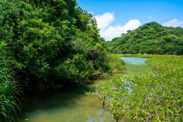 istock hong kong rural scene 1249584729