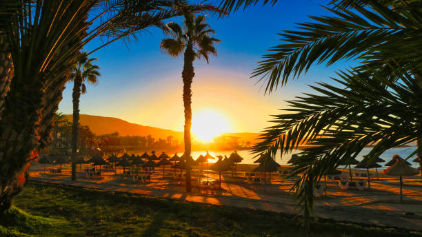 road by the beach in Malaga, Spain