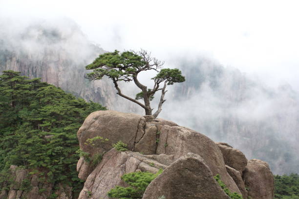 Magnificent Yellow Mountain Yellow Mountain in Anhui, China huangshan mountains stock pictures, royalty-free photos & images
