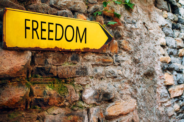 istock Yellow arrow sign on old stone brick wall. Direction pointer with inscription Freedom 1249588308