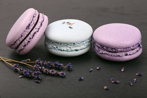 Close up three fresh French purple macaroon cookies served on black slate with lavender flowers, high angle view
