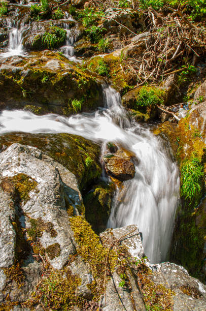 istock Small waterfall in a forest on Old Mountain  in Serbia 1249592387