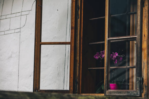 istock flowers in pot at window sill 1249592857