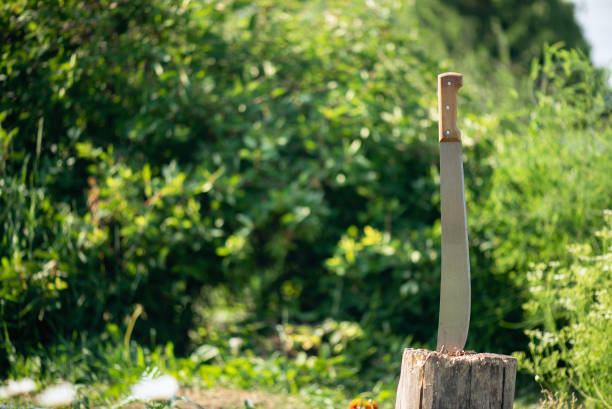 Machete. Sharp machete in a wooden stump background. Machete stock pictures, royalty-free photos & images