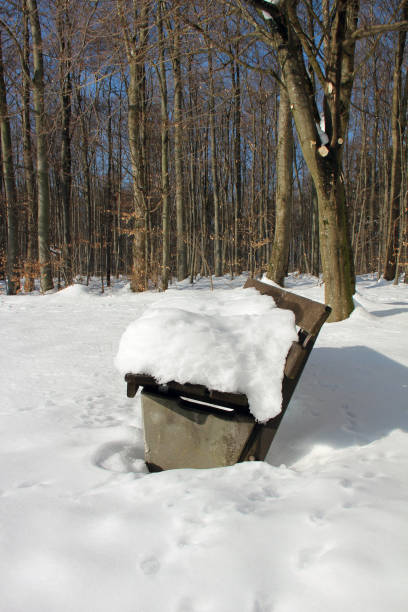 istock Thick layer of snow on the bench - 1249606602