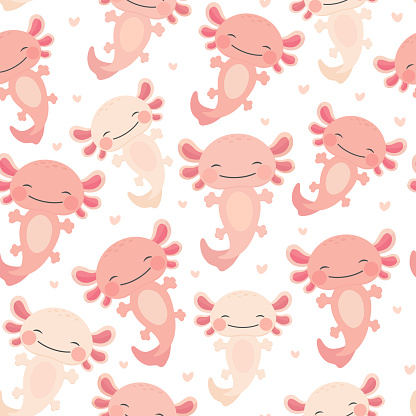 Ilustración de Patrón Sin Costuras Axolotl Kawaii Fondo De Anfibios Bebé y  más Vectores Libres de Derechos de Axolote - iStock