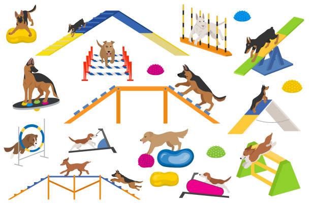 hunde-spielgeräte-set. farbe flach spielenhunde design - agility stock-grafiken, -clipart, -cartoons und -symbole