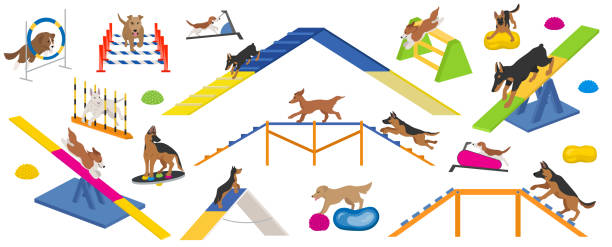 hunde-spielgeräte-set. farbe flach spielenhunde design - agility stock-grafiken, -clipart, -cartoons und -symbole