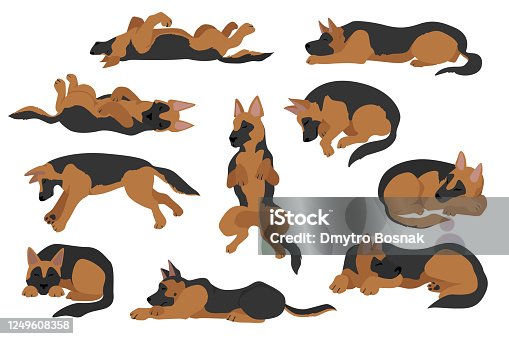 5,253 Sleeping Dog Illustrations & Clip Art - iStock | Dog sleeping in bed,  Dog, Dog bed