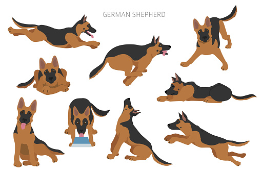 German shepherd dogs in different poses. Shepherd characters pattern