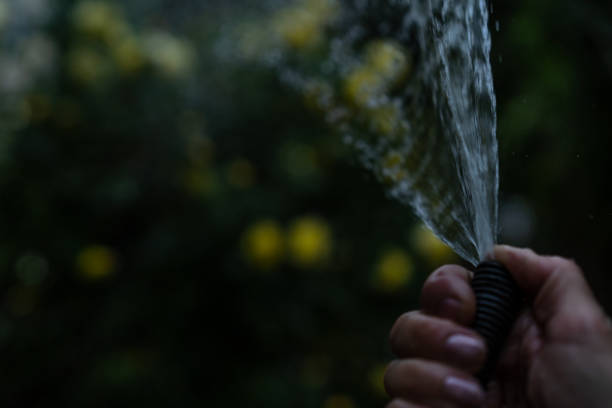 istock Watering a hose with a jet of water 1249609688