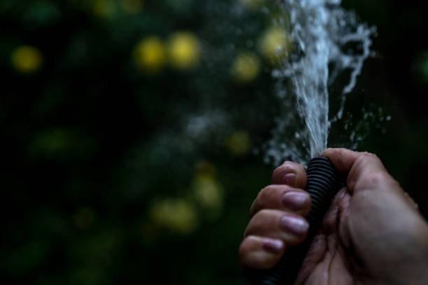 istock Watering a hose with a jet of water 1249609849