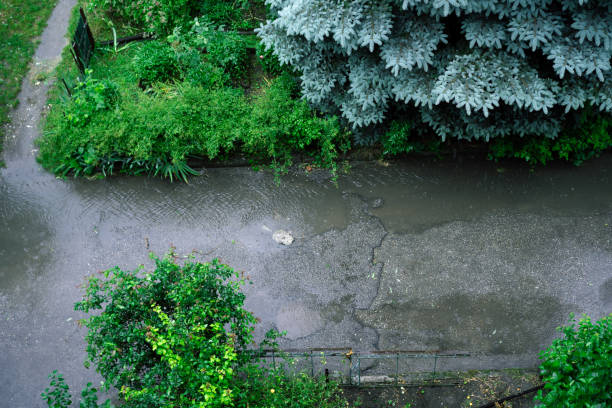 istock Puddles from the rain flow down the street 1249609934