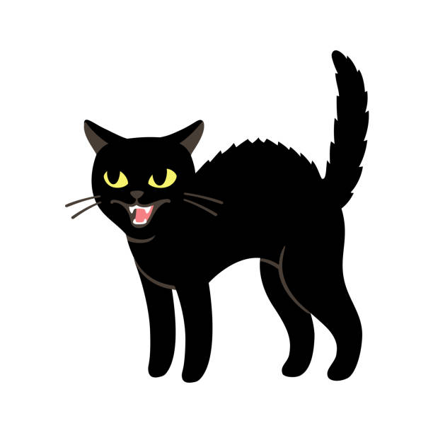 ilustraciones, imágenes clip art, dibujos animados e iconos de stock de gato negro enojado - domestic cat anger hissing aggression