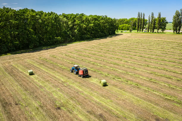 istock A tractor with a trailed bale making machine collects straw rolls in the field and makes round large bales 1249613208