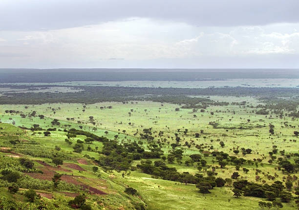 istock Queen Elizabeth National Park aerial view 124961596