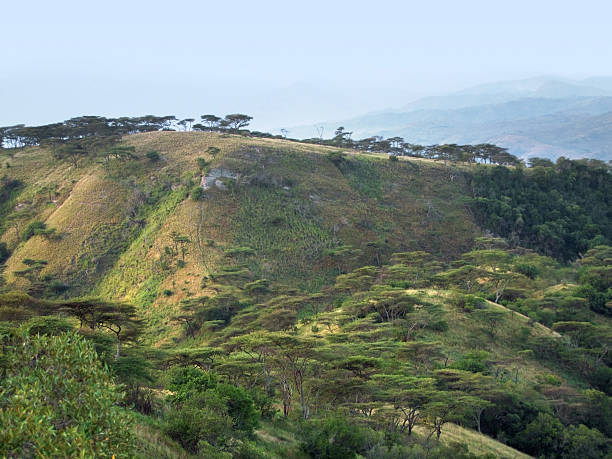 istock Queen Elizabeth National Park in Uganda 124961605
