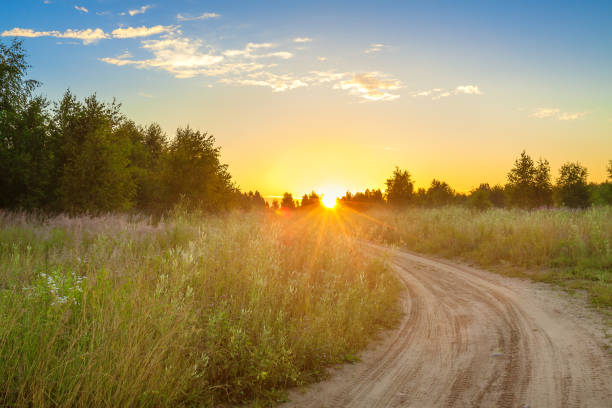istock amazing summer rural landscape with sunrise 1249616461