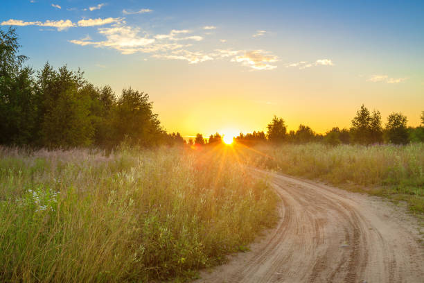 amazing summer rural landscape with sunrise amazing summer rural landscape with sunrise, road and forest . scenery spring scene view single lane road photos stock pictures, royalty-free photos & images