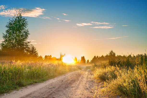 istock amazing summer rural landscape with sunrise 1249616539