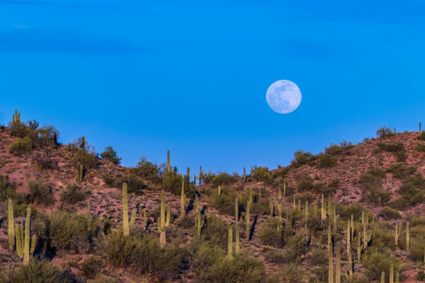 istock Moonrise over desert. Full moon, blue sky in background. Hill, Saguaro cactus in Foreground. 1249619165