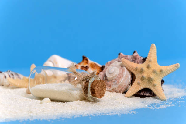 istock Message bottle with sea stars or starfish and shells on white sand shore 1249619199