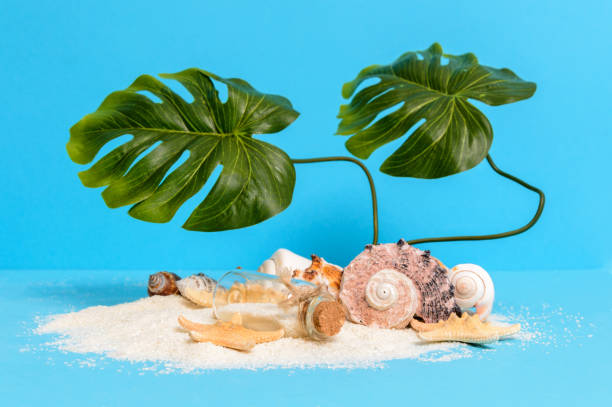 istock Tiny sandy treasure island with message bottle, seashells, starfish and monstera 1249619206