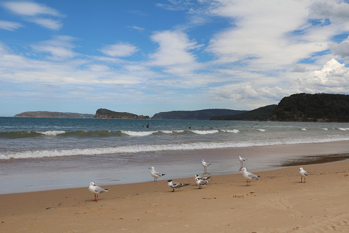 Umina Beach in Woy Woy nearby Sydney, New South Wales Australia