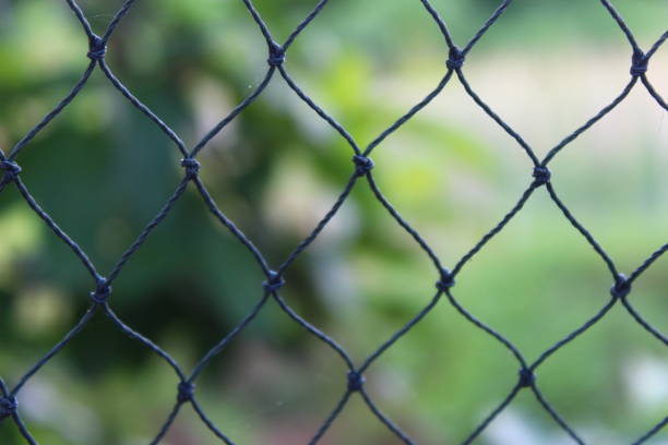 istock Blue net in the garden 1249628462