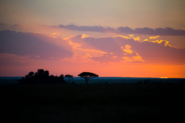istock The Serengeti 1249630492