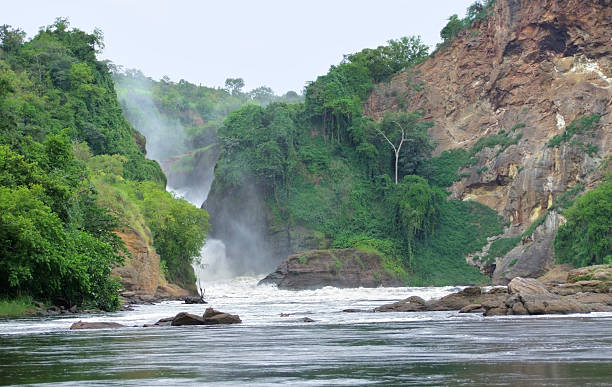istock idyllic view around the Murchison Falls 124963053