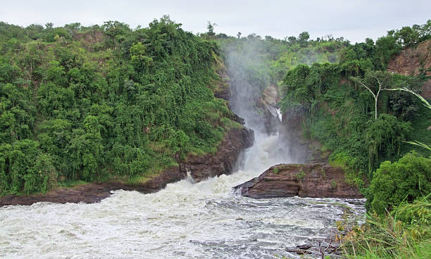 istock Murchison Falls in Africa 124963054