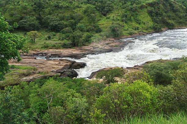 istock whitewater at Murchison Falls in Africa 124963056