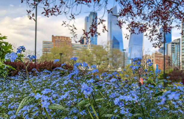 istock The Hudson Yards Tower Complex Remodelling the Manhattan Skyline - View from Chelsea 1249632246