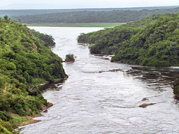 istock around the Murchison Falls in Uganda 124963234