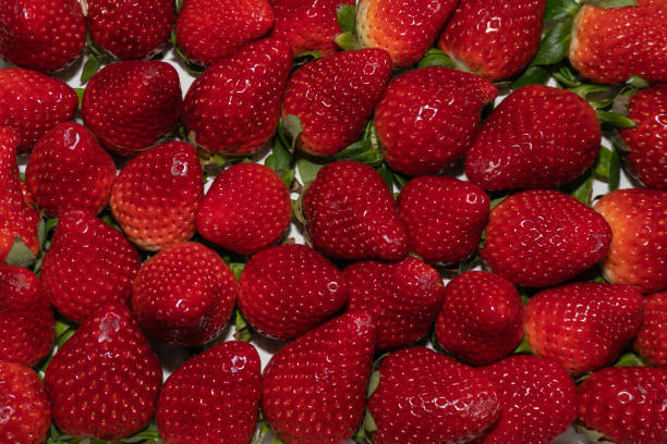 istock Background of strawberries with their green leafs 1249632821