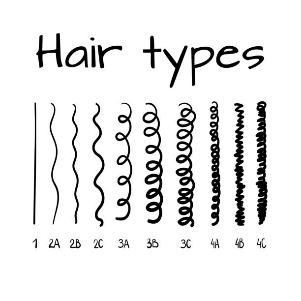 7,113,644 Hair Type Stock Photos, Pictures & Royalty-Free Images - iStock | Hair  type icon, Hair type chart