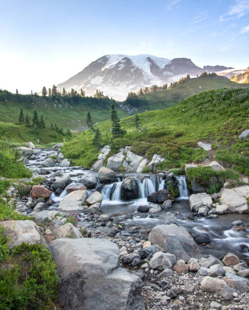 Water cascading through a meadow with Mount Rainier in the background. Water cascading through a meadow with Mount Rainier in the background. National Park mt rainier national park stock pictures, royalty-free photos & images