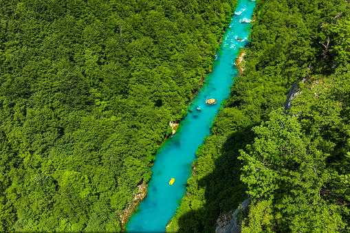 Tara mountain river in a canyon in the mountains of Montenegro
