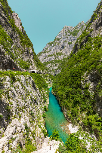 Tara mountain river in a canyon in the mountains of Montenegro