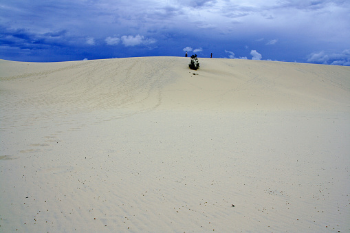 Sand Dune of Moreton Island