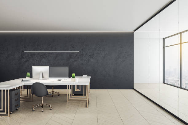 istock Clean coworking office room 1249648400