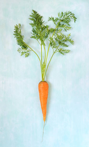 istock Carrot with green stem over light  background. 1249653176