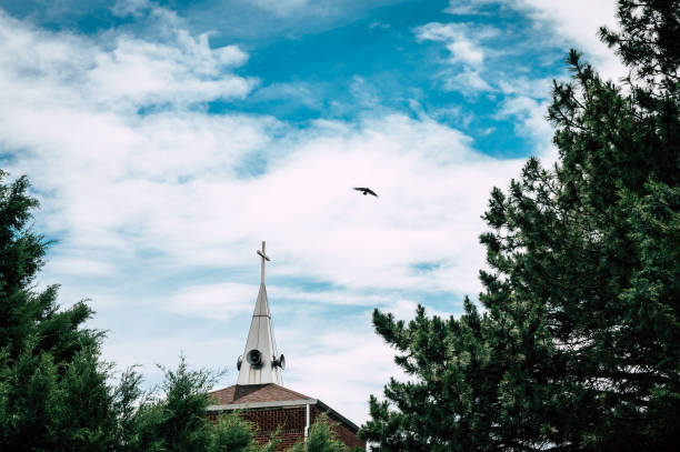 Huge flock of pigeons fly over bell tower against a blue sky in a russian orthodox monastery.