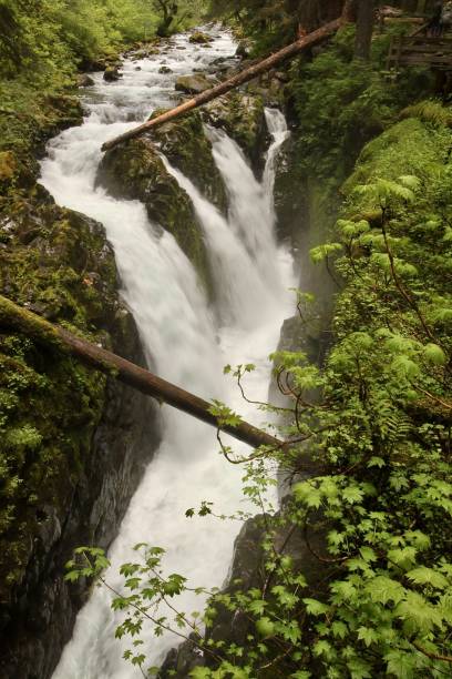 istock Sol Duc Falls In Olympic National Park 1249660998