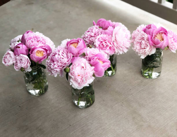 istock Peonies sitting in jars 1249662733
